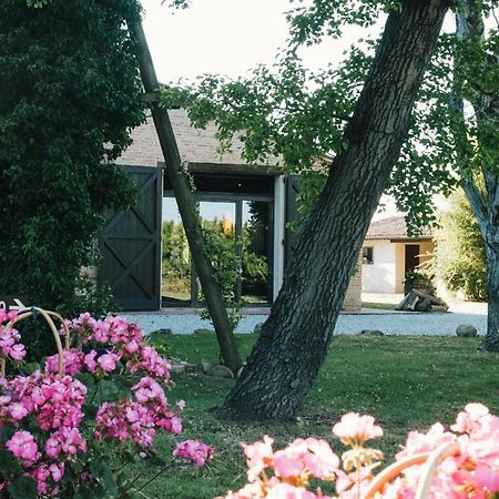 Agriturismo Palazzo Baldini Βίλα Bagnacavallo Εξωτερικό φωτογραφία